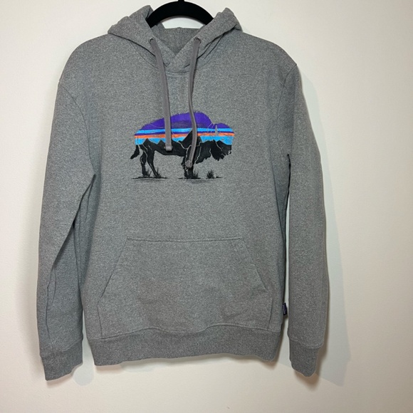 Patagonia Mens Fitz Roy Bison Uprisal Hoodie Sweatshirt Gray Graphic 39582 Small - Picture 2 of 11